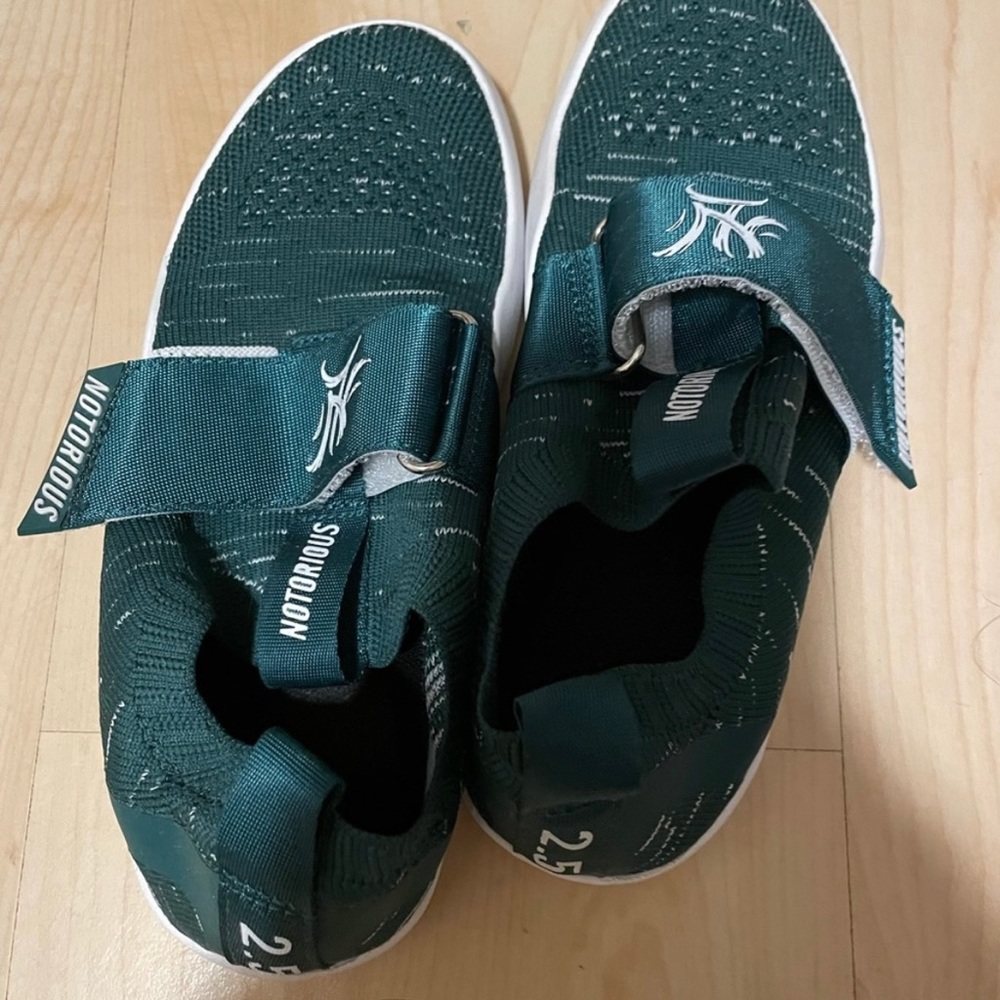 Notorious lift green shoes